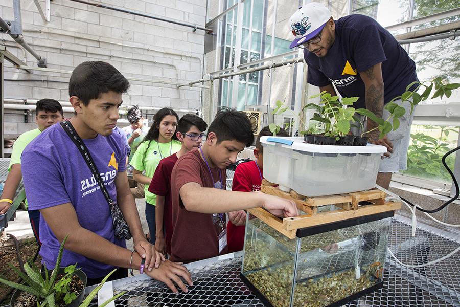 Students look at a system that is growing food using hydroponics.