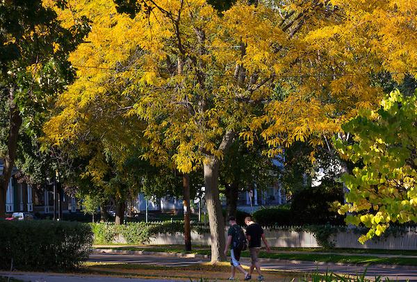 Students walking down Prarie Street