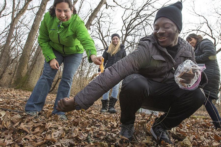 Students kneel on a path of leaves.