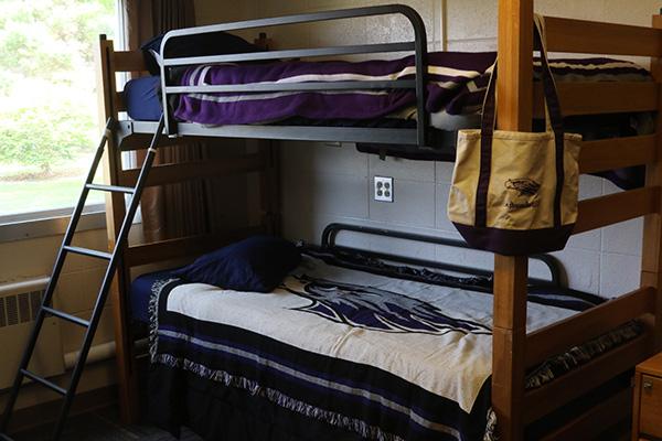 A bunk bed. There is a ladder leading to the top bunk.